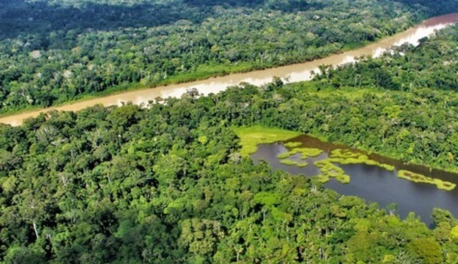 imagen de Perú invertirá US$ 50 millones para reducir deforestación en la Amazonía