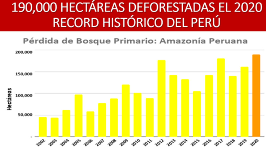 imagen de "Récord" histórico: Perú alcanzó 190.000 has deforestadas en 2020