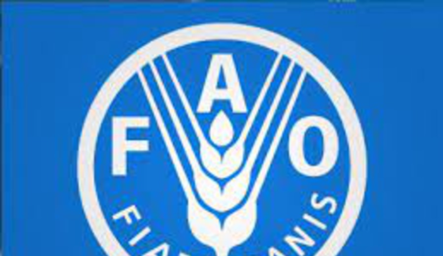 imagen de Columna de FAO