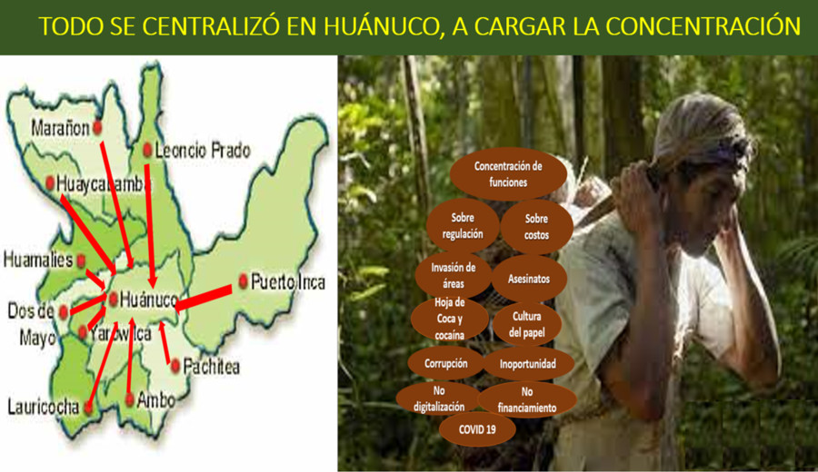 imagen de Huánuco, un ejemplo de cómo se concentra la descentralización de funciones en materia forestal