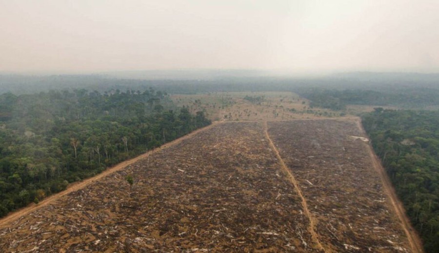 imagen de La Amazonia ya emite más CO2 del que absorbe