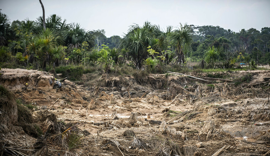 imagen de Deforestación en Amazonía brasileña alcanza nuevo récord: 941 km cuadrados destruidos en lo que va del 2022