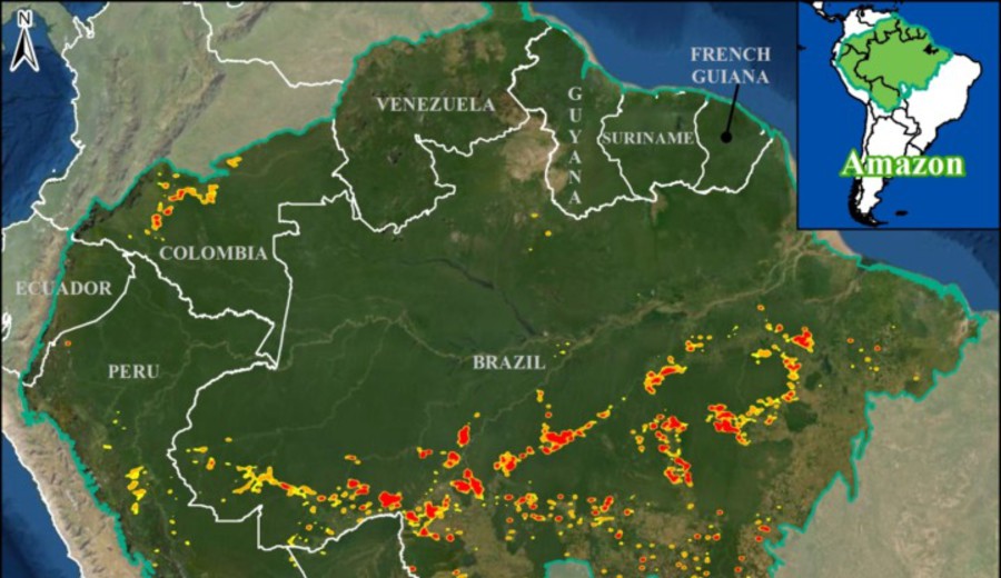 imagen de La Amazonia perderá 860.000 hectáreas en 2021 por “uso agrícola del suelo, las carreteras y la ocupación humana”