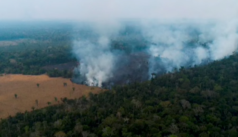 imagen de Colombia: Expertos ambientales piden al gobierno de Duque enfrentar la deforestación en la Amazonía