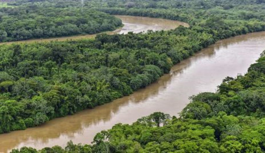 imagen de Timmermans: ayudemos a Lula a salvar Amazonas