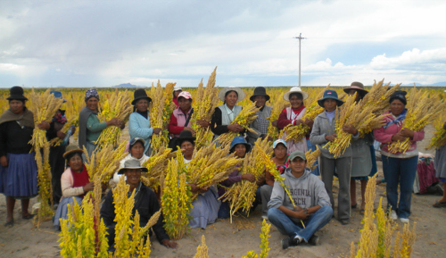 imagen de Fondo Verde aprobó US$ 33,3 millones en donación para combatir el cambio climático en Bolivia