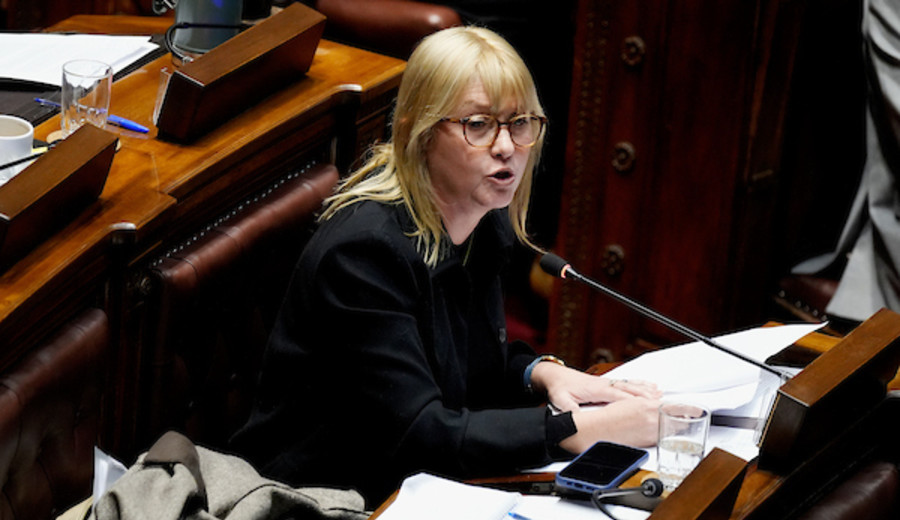 imagen de Ley de garantías para la infancia, proyecto de la diputada del FA, Cristina Lustemberg, logró unanimidad entre partidos