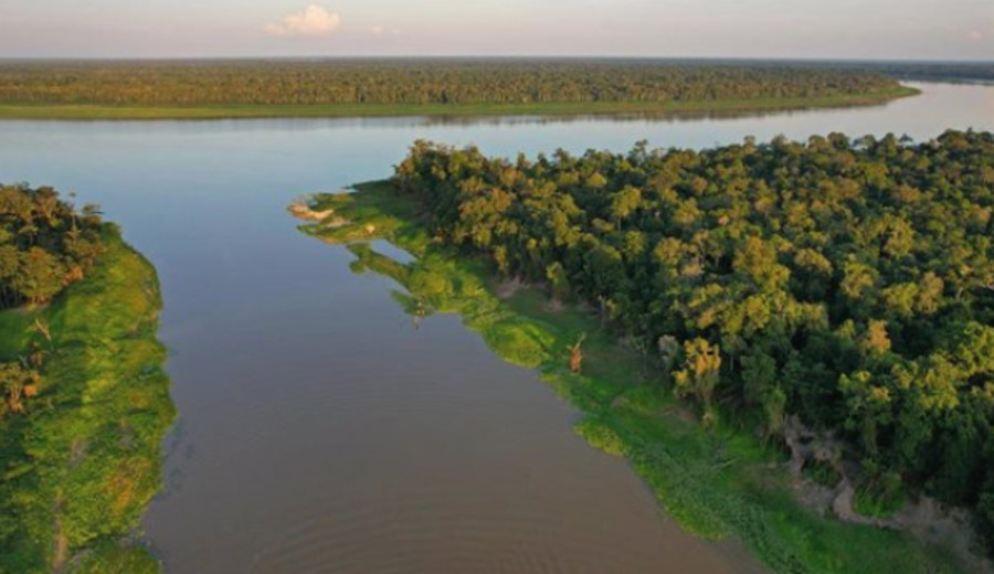 imagen de La deforestación de la Amazonía brasileña cae un 34% en el primer semestre del año