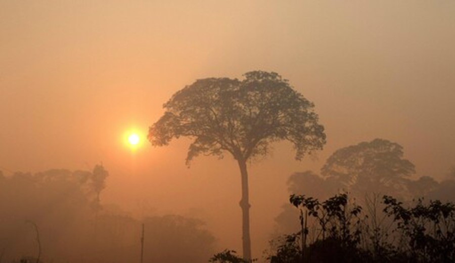 imagen de La UE anuncia programa de 35 millones para Amazonia