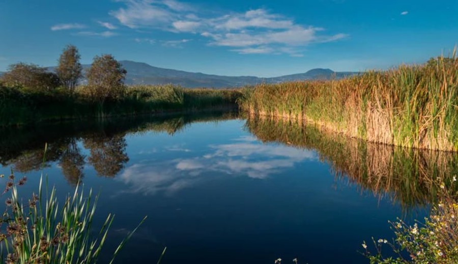 imagen de Día Mundial de los Humedales: por qué son claves para proteger la biodiversidad del planeta