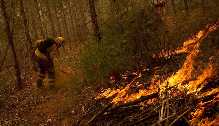 imagen de Más de medio centenar de personas mueren por los incendios forestales en Chile