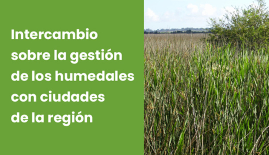 imagen de Intercambio sobre la gestión de humedales con ciudades de la region