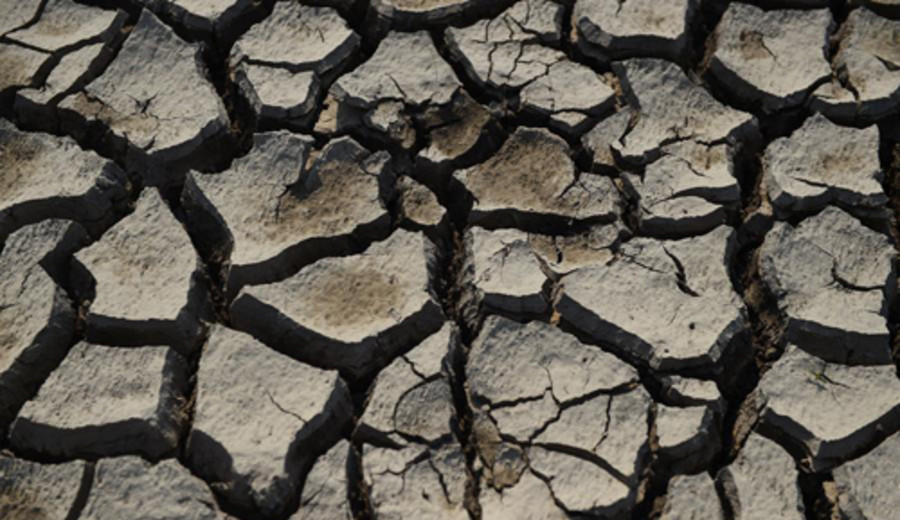 imagen de Identifican en Brasil amplia zona de clima árido a causa del cambio climático