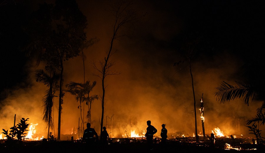 imagen de Incendios en Amazonia brasileña baten récord en primer cuatrimestre