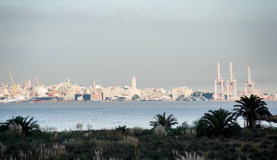 imagen de La empresa de logística marítima Orbiplus notificó a la ANP que se retira del puerto de Montevideo