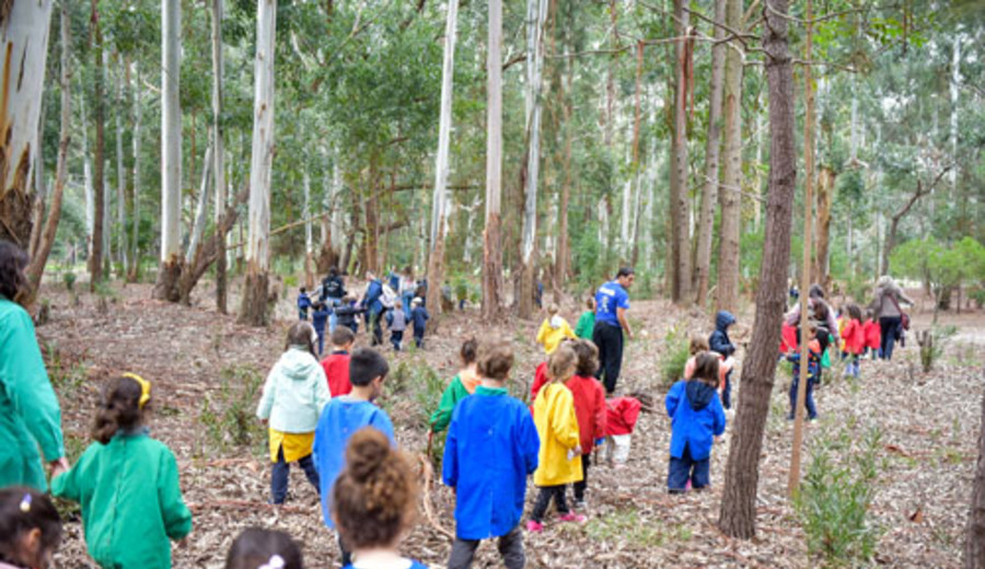 imagen de En el Mes del Ambiente, más de 200 niños de primaria participaron de una actividad en el parque Roosevelt