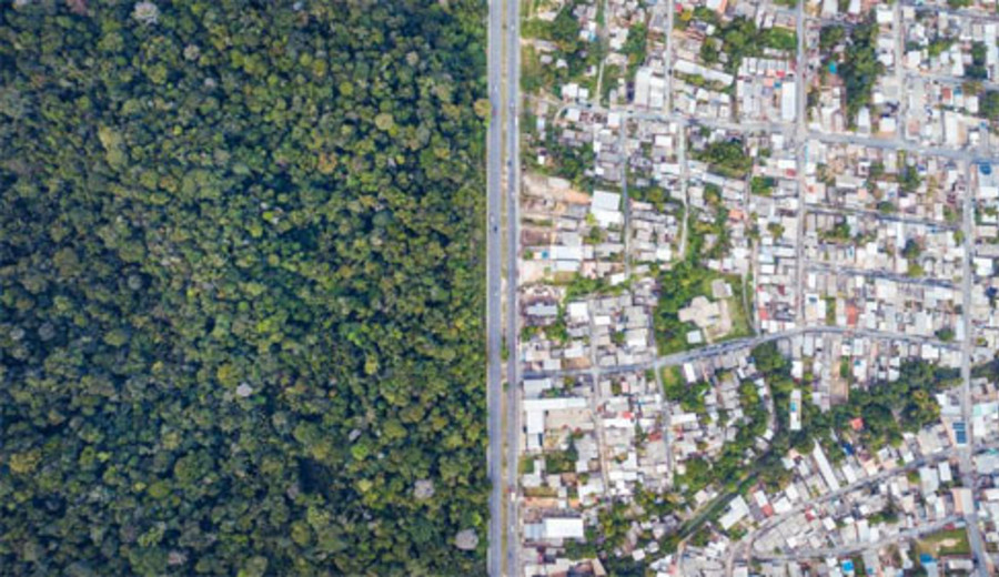 imagen de Brasil lanza plan contra crimen en selva amazónica para preservar el bioma