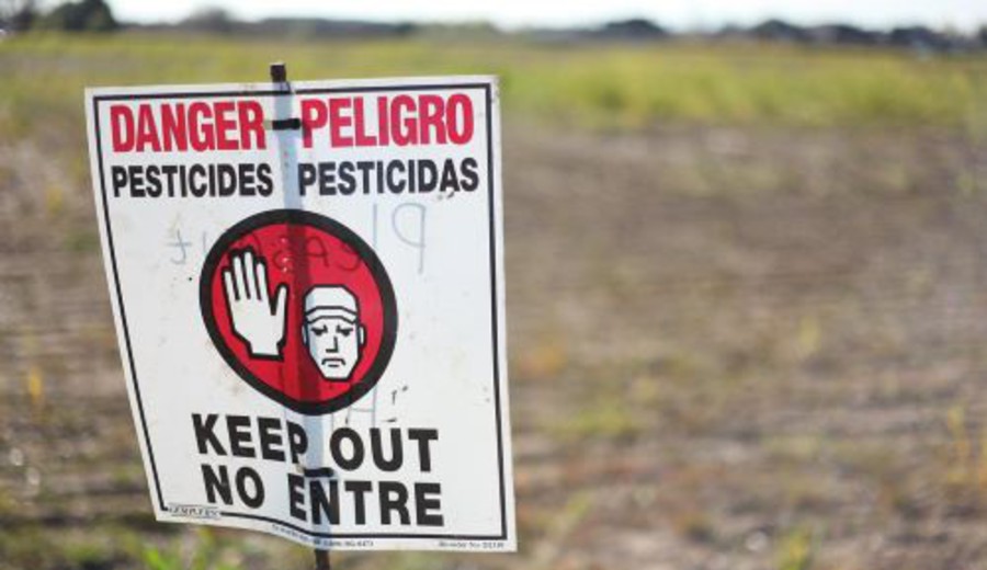 imagen de ¿Colonialismo químico? Agrotóxicos prohibidos en la Unión Europea se exportan a América Latina
