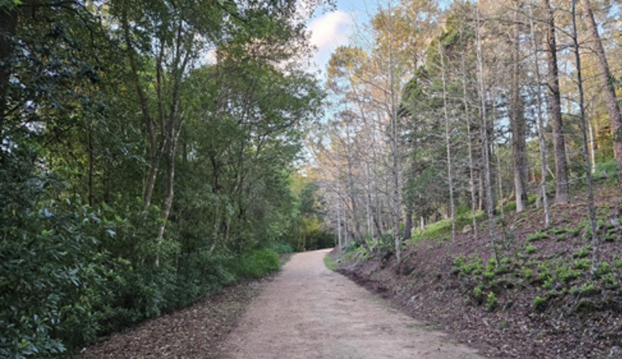 imagen de Actividades en Arboretum Lussich durante julio