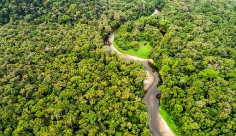 imagen de América Latina, la región más letal para ambientalistas