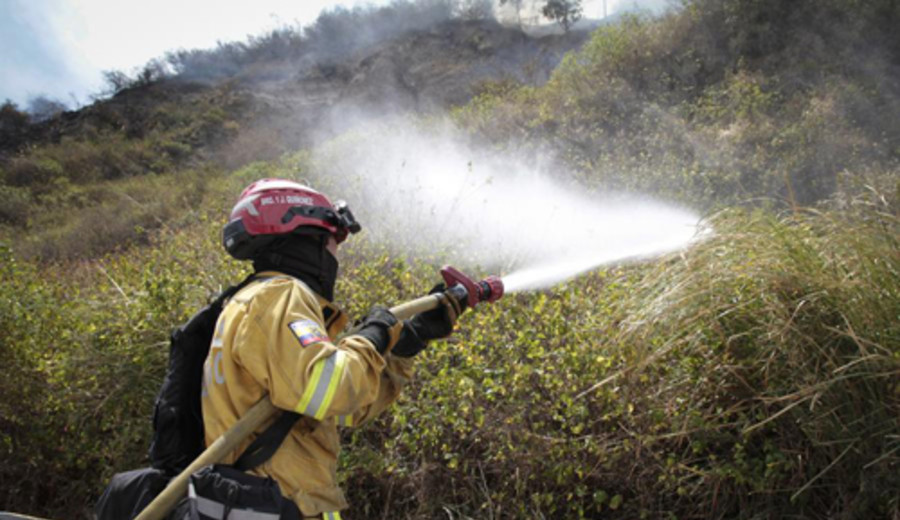 imagen de Más de 39.000 hectáreas arrasadas por incendios forestales en Ecuador