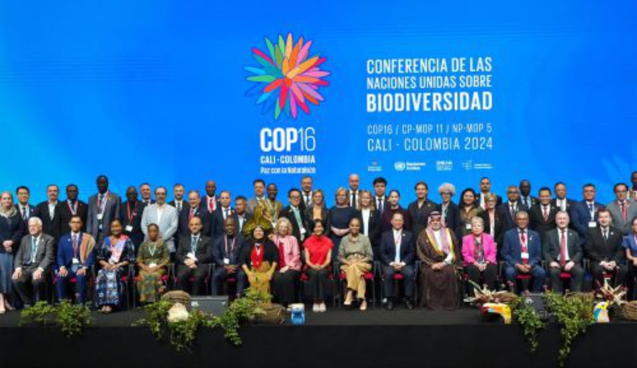 imagen de COP16: economía del norte ligada a la biodiversidad del sur