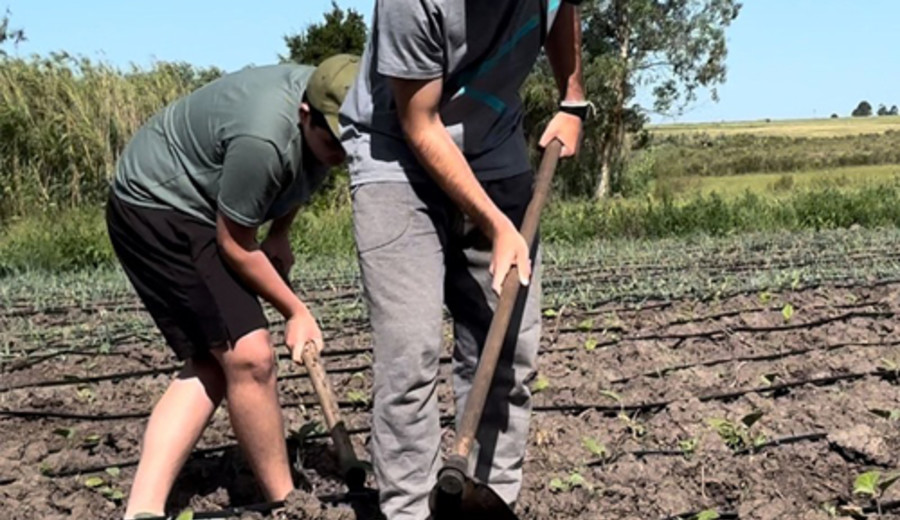 imagen de Jóvenes rurales que lideran proyectos innovadores reciben apoyo de Fondo Prende