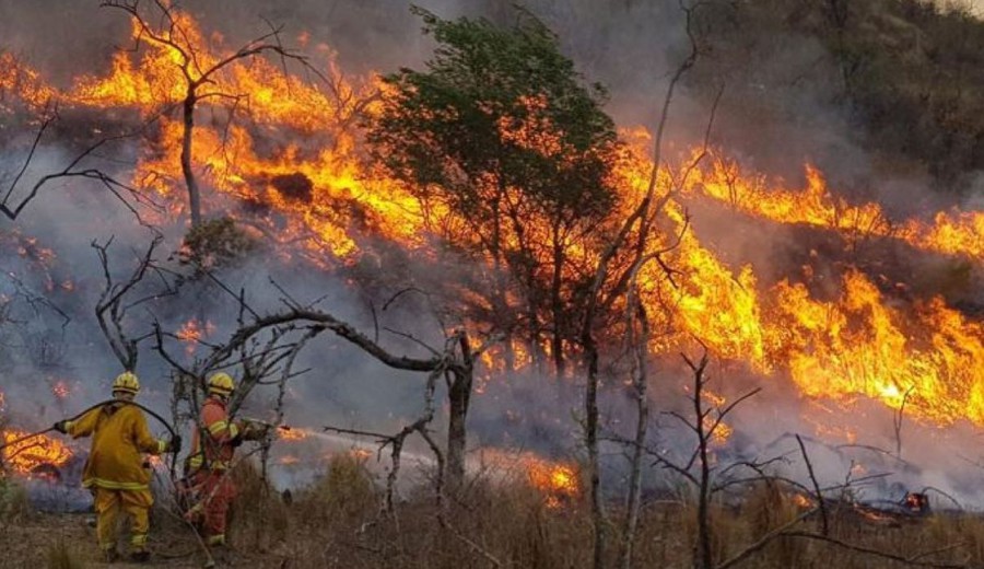 imagen de Incendio forestal consume más de 15.200 hectáreas en parque nacional de Argentina